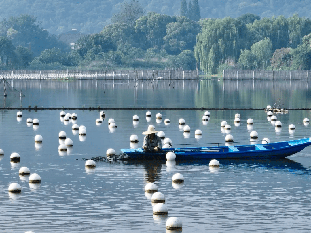 全球农业文化遗产上新，为何是它们？