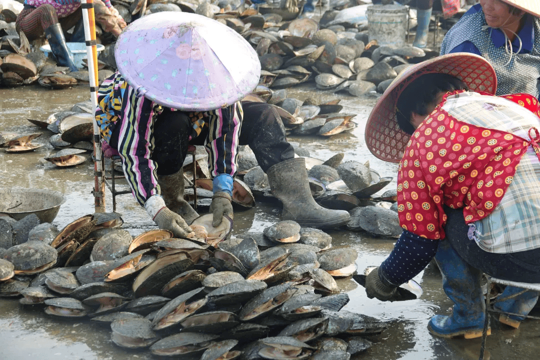 全球农业文化遗产上新,为何是它们?