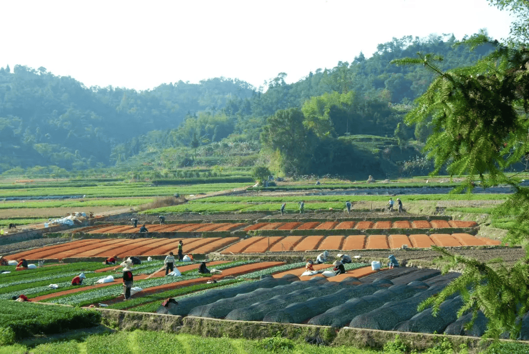 全球农业文化遗产上新,为何是它们?