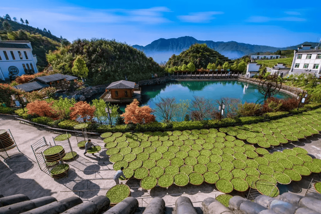 全球农业文化遗产上新,为何是它们?