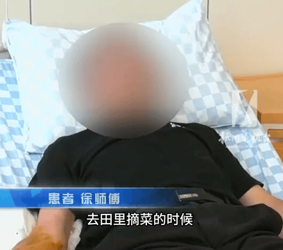 浙江69岁大爷被五步蛇咬伤：感觉“有毒”立马追蛇，一脚踩死后带去医院