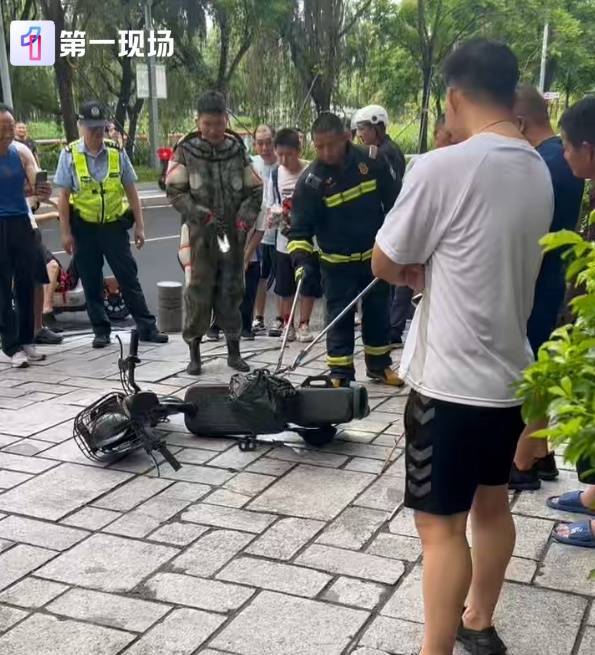 女子骑电单车出门,车里突然钻出1米多长蛇!高发期注意→