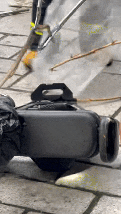 女子骑电单车出门,车里突然钻出1米多长蛇!高发期注意→