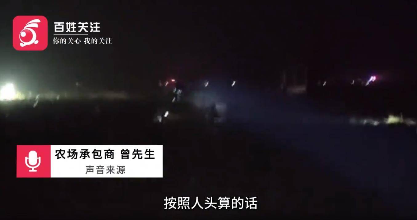 安徽一地数百名村民哄抢未收土豆连续四天,事情为何会失控?