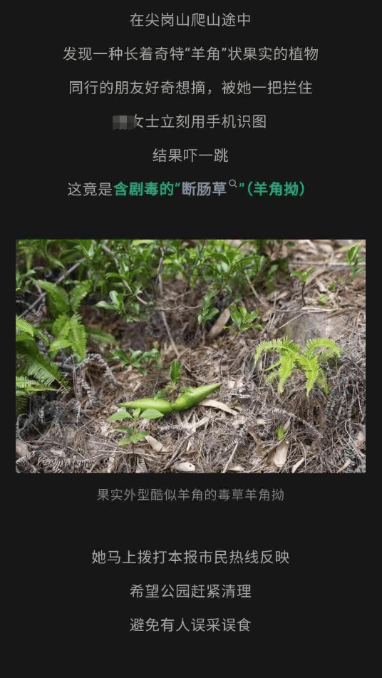 大片连根铲除！深圳一公园“火速响应”引质疑，网友为它喊冤