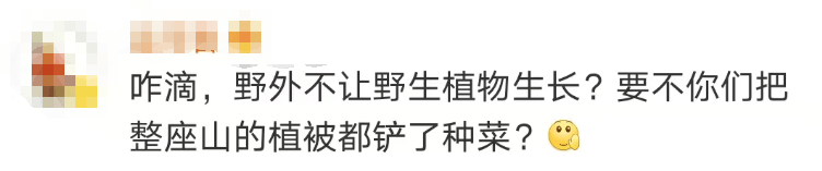 大片连根铲除!深圳一公园“火速响应”引质疑,网友为它喊冤