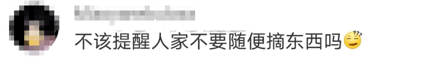 大片连根铲除!深圳一公园“火速响应”引质疑,网友为它喊冤