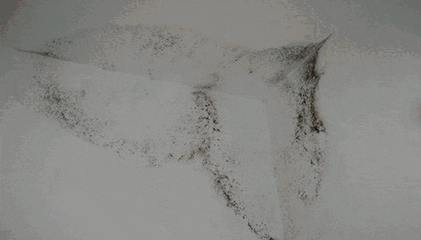 “真的绝望”!最近,很多深圳人家中被悄悄入侵!速自查这些地方……