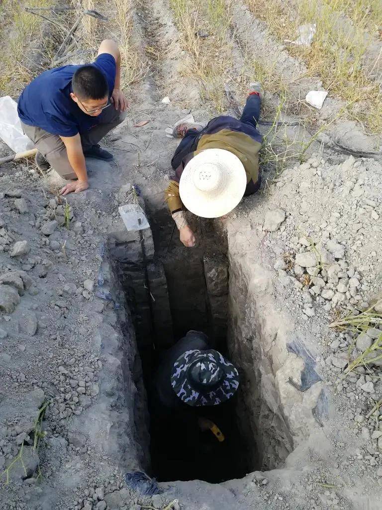 重大突破!新疆发现近千公里“硒腰带”