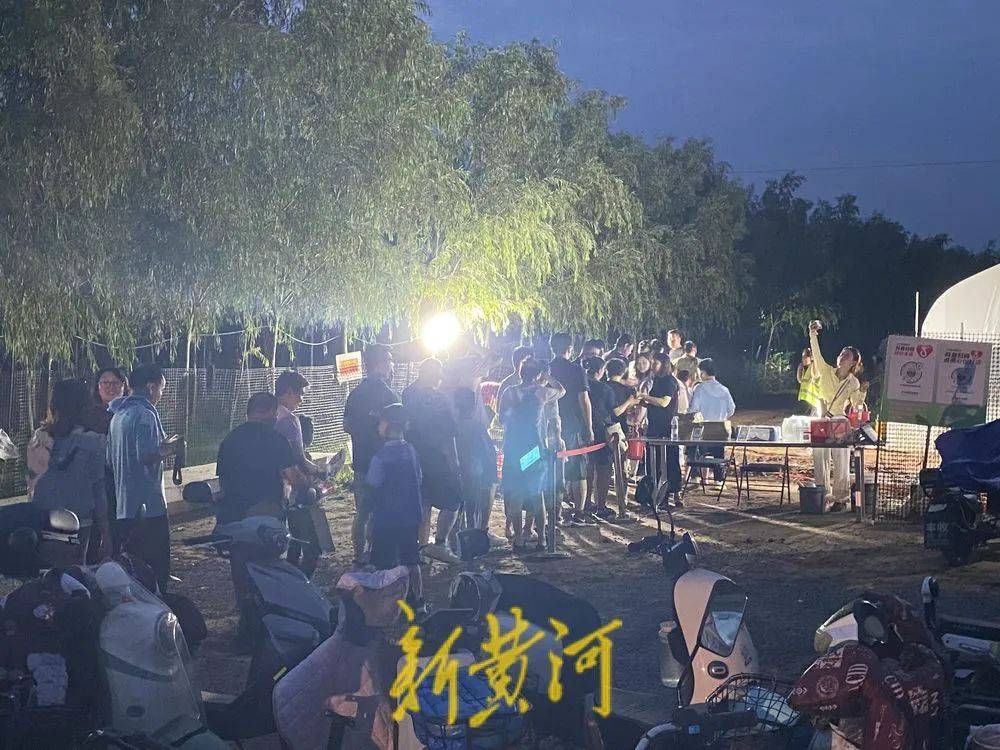 济南这片树林,一晚捉了20000只金蝉