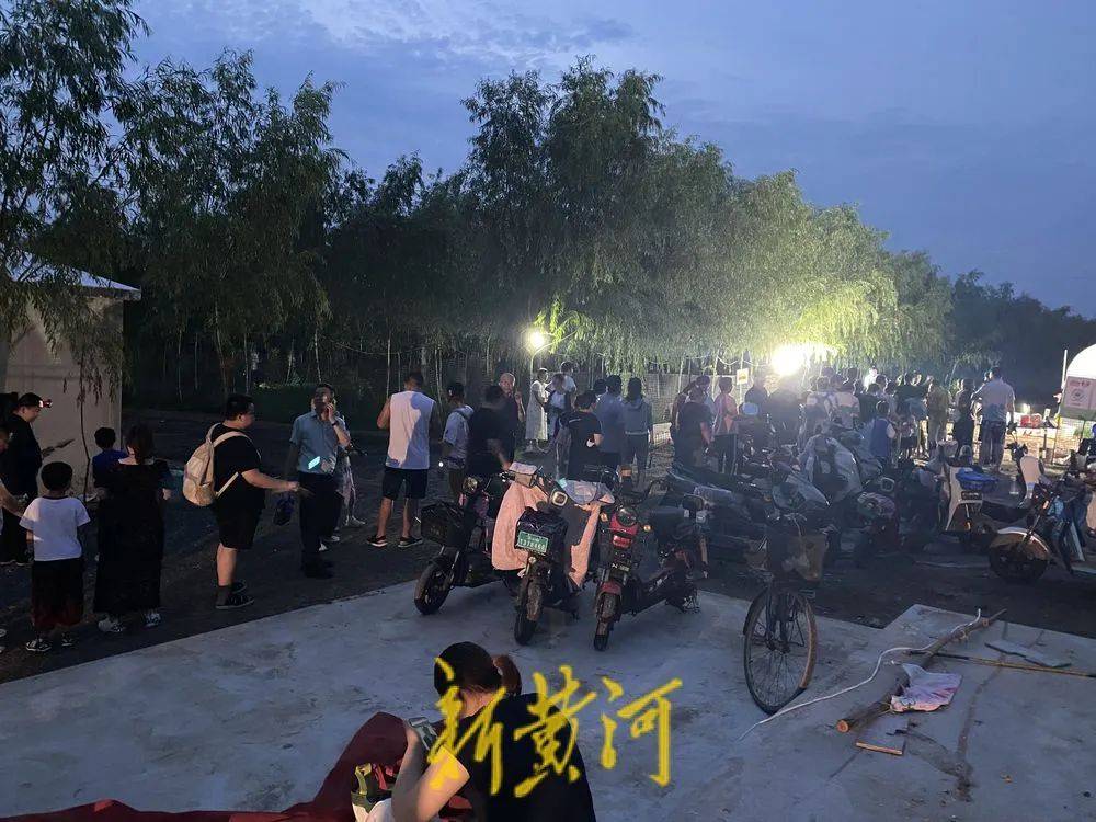 济南这片树林,一晚捉了20000只金蝉