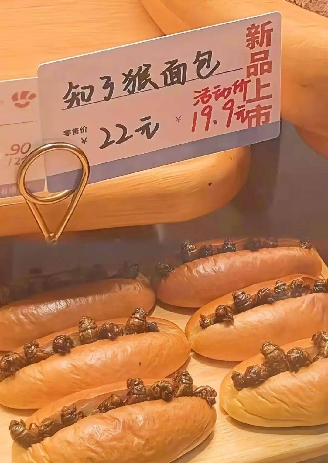 一斤超百元!山东的知了猴怎么就火出圈了?