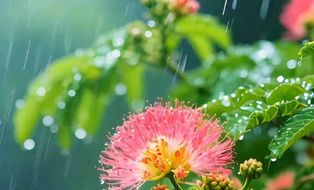 黑龙江：高温天气，退！退！退！