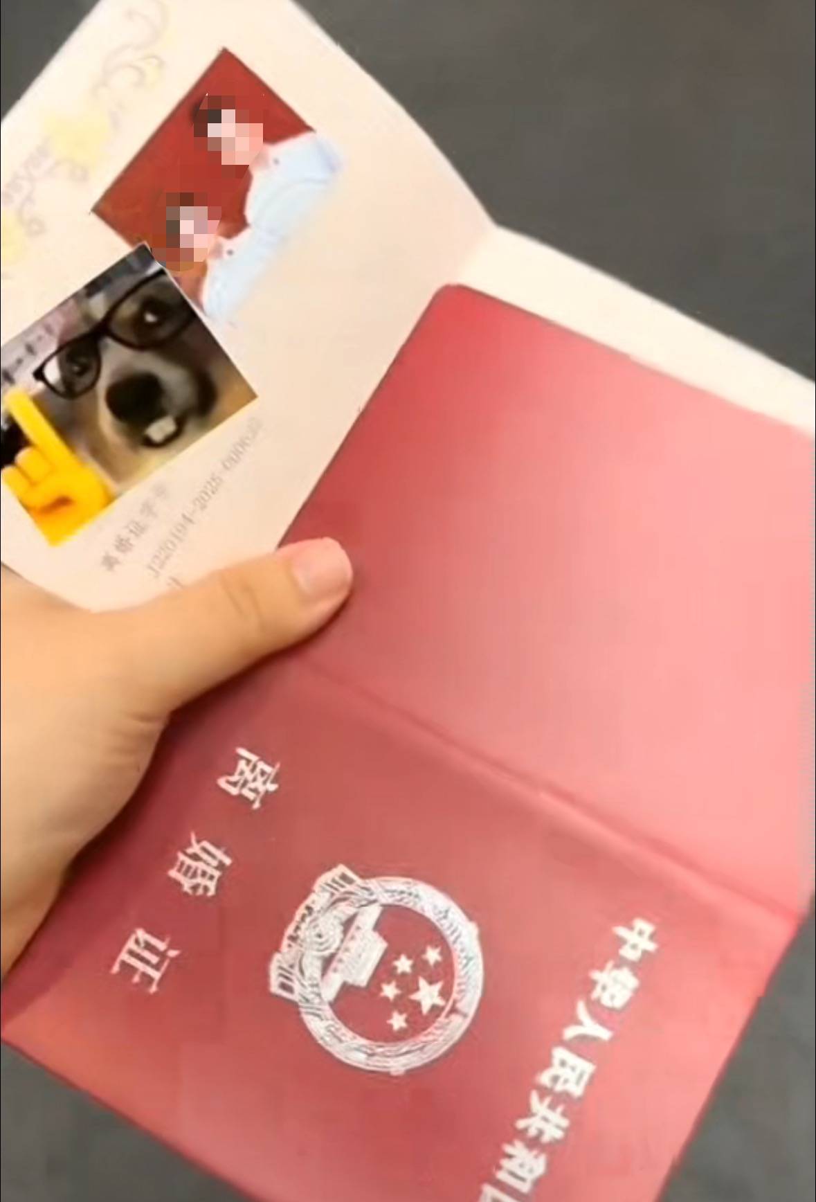 结婚证发成离婚证!网友调侃“第一次见合照的离婚证”,长春一民政局:发错了,已道歉