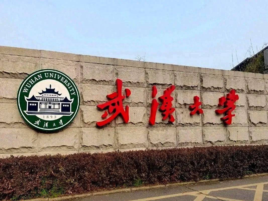 害人害己!武大杨某踢到铁板,知情人曝将被开除,到手的博士难保