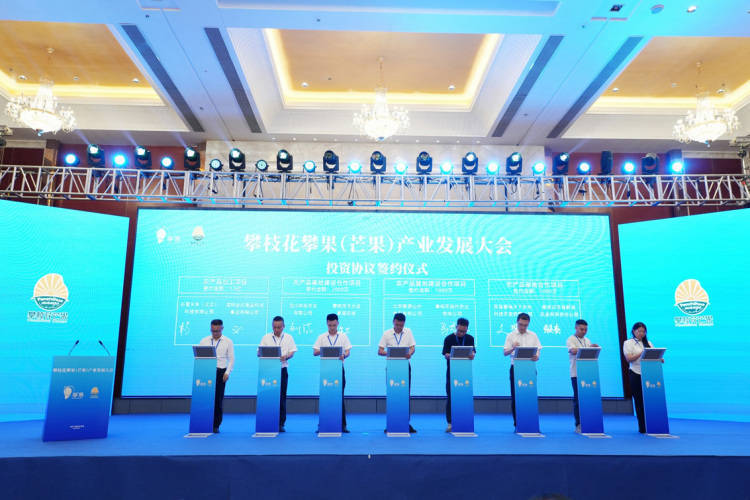 项目投资总额近15亿元 攀枝花攀果(芒果)产业发展大会在盐边举行