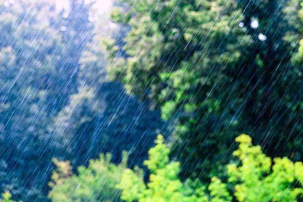 “几天下一年的雨”，防灾减灾关键在哪？