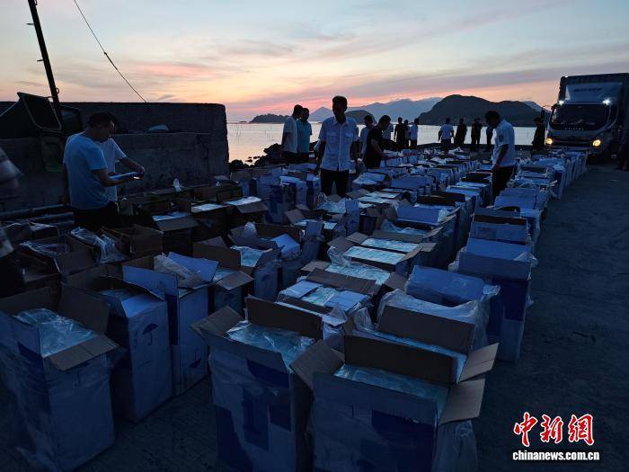 案值逾500万 福建宁德查获一起涉嫌走私香烟案