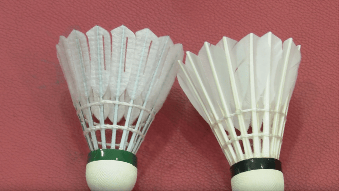 “杀伤力”惊人!击穿眉骨、扎穿手指……这项球速达300km/h的人气运动暗藏风险!