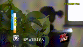 “从小不缺钱,父母百依百顺”,53岁啃老女花光父亲遗产后,又盯上……