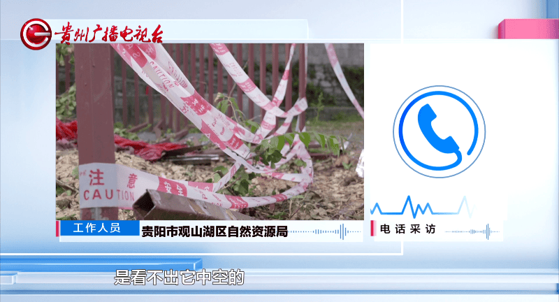 贵阳一700年古树砸扁“宝马”,现场惨不忍睹,林业局:车主他也有错