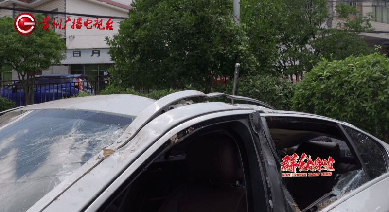 贵阳一700年古树砸扁“宝马”,现场惨不忍睹,林业局:车主他也有错
