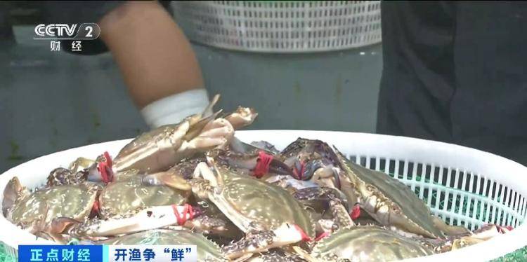 大连“开海”首个周末,海鲜价格走势如何?记者探访→