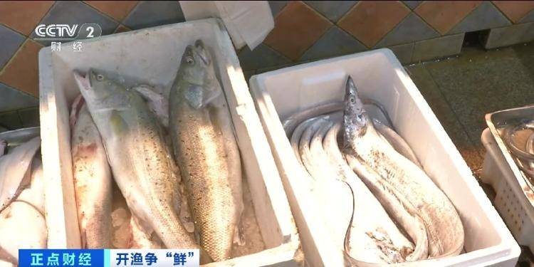 大连“开海”首个周末,海鲜价格走势如何?记者探访→