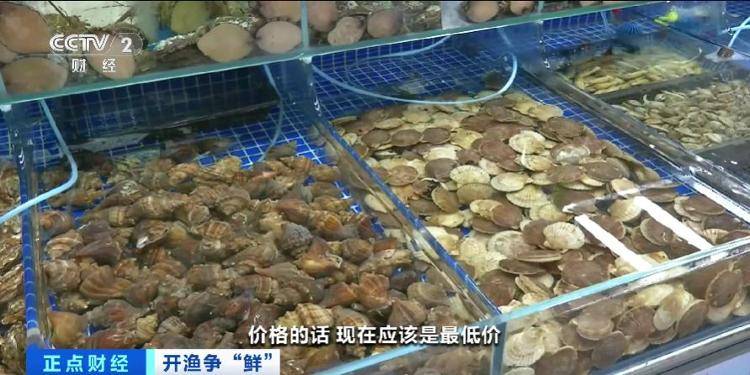 大连“开海”首个周末,海鲜价格走势如何?记者探访→