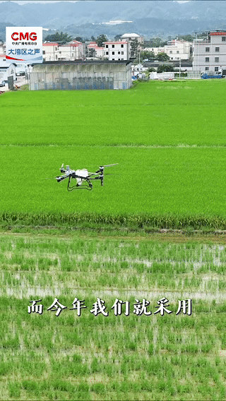 勇立潮头大湾区丨“智”耕乡野!下坝育良田 产良方