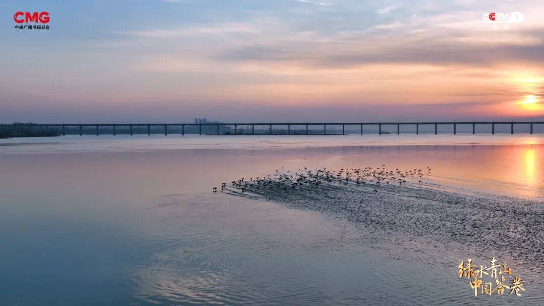 今日18:20!锁定CCTV-1!《绿水青山 中国答卷》济源篇今晚播出