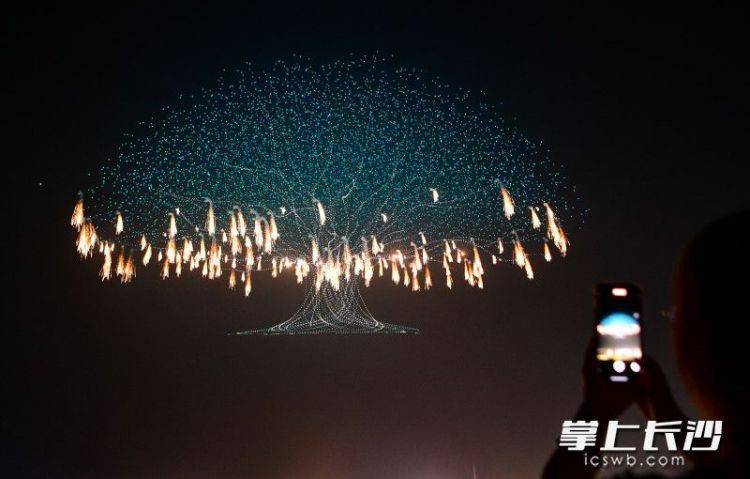 湖南浏阳烟花斩获两项吉尼斯世界纪录