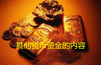 什么货币资金(哪些是货币资金)