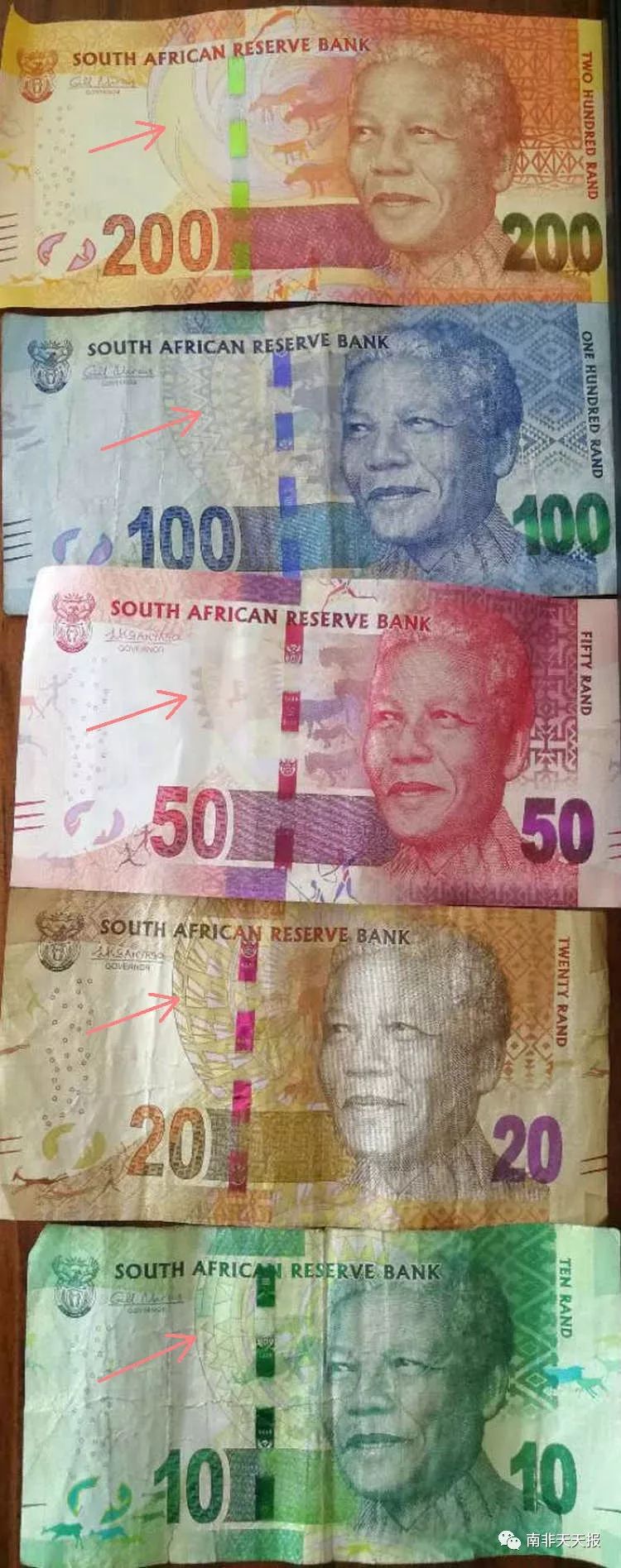 南非货币(南非货币图片) 南非货币(南非货币图片)