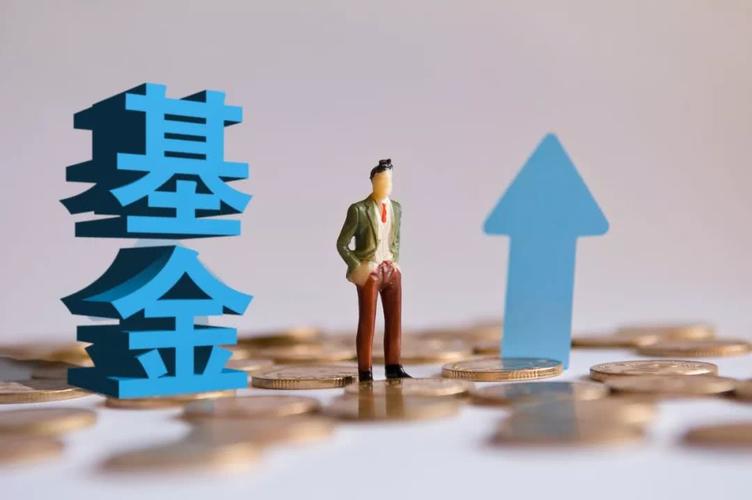 货币基金基金(货币基金基金经理年薪) 货币基金基金(货币基金基金经理年薪)