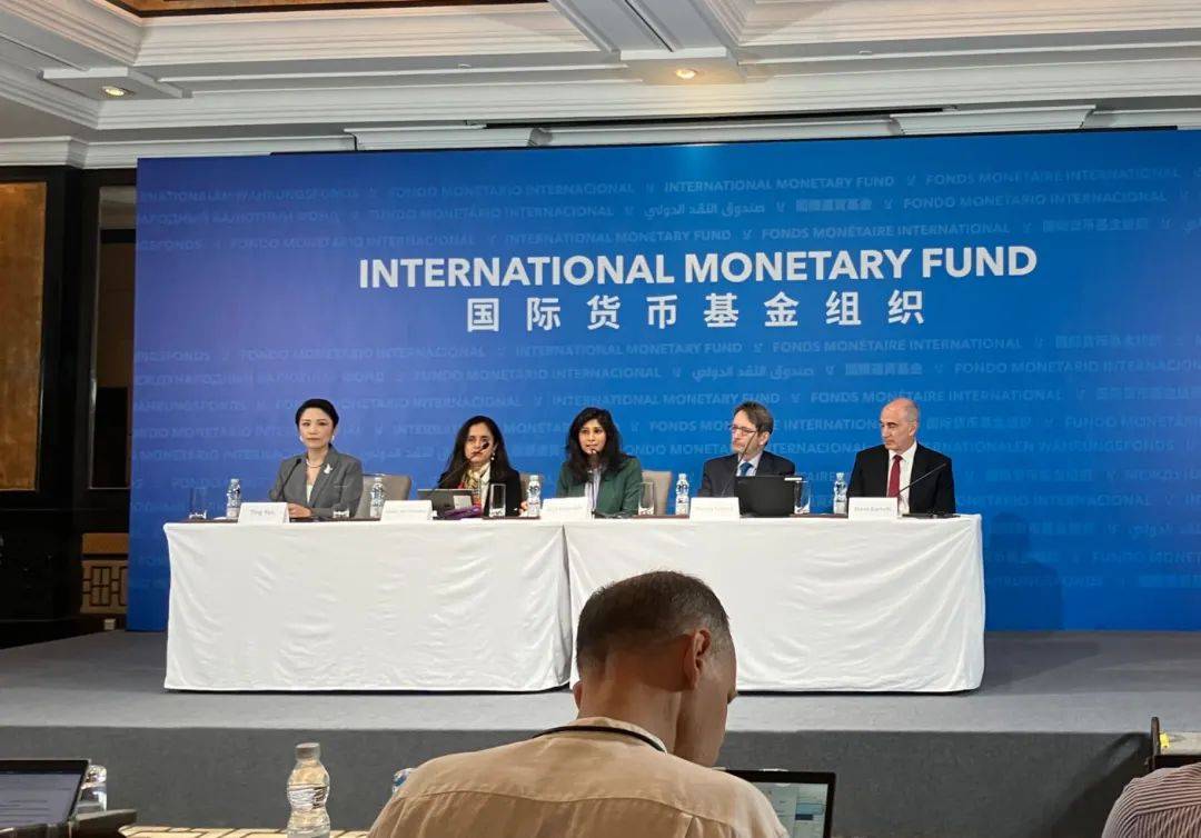 国际货币基金协定(国际货币基金协定的内容)