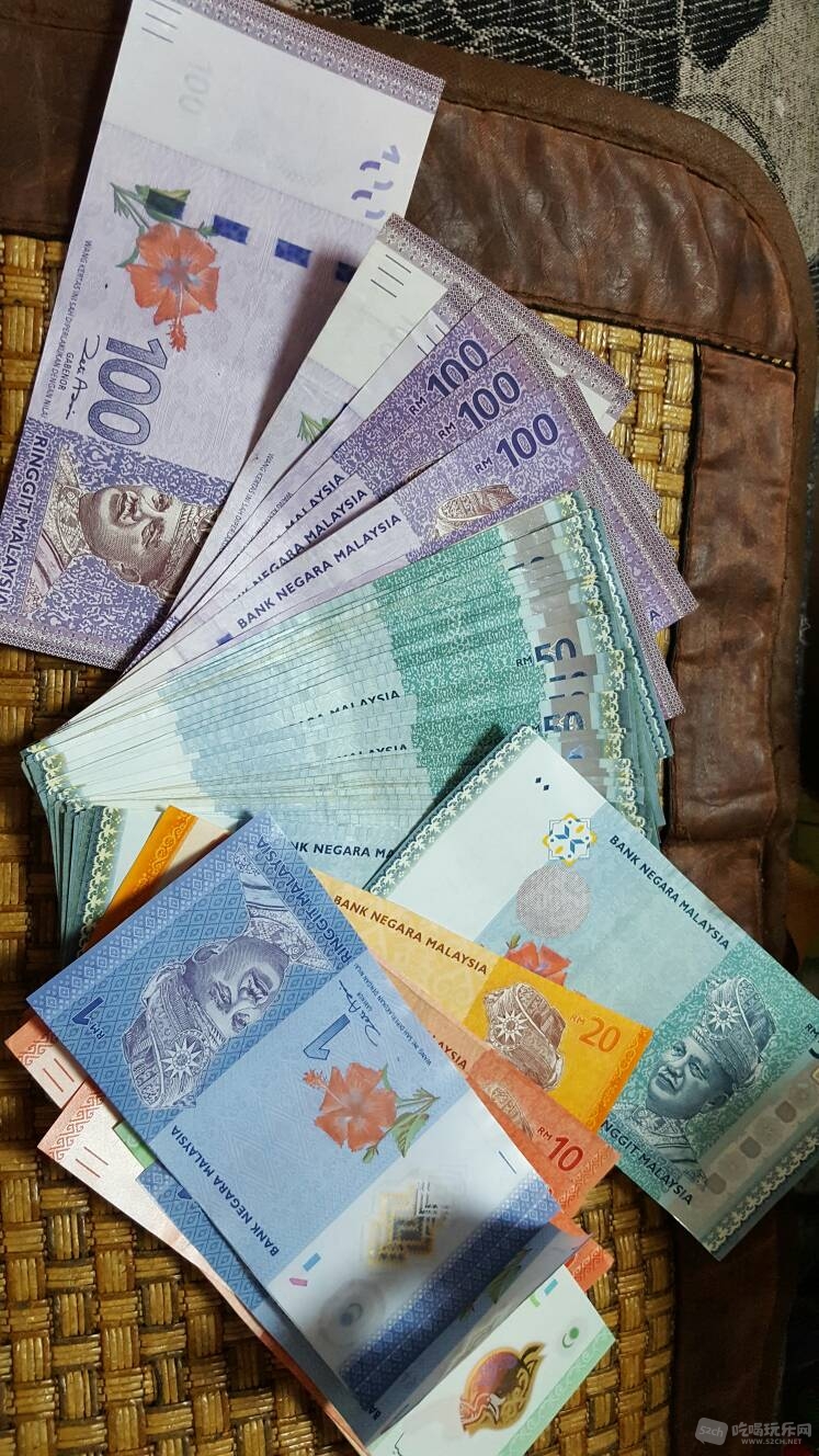 马来西亚货币(马来西亚货币头像是谁)