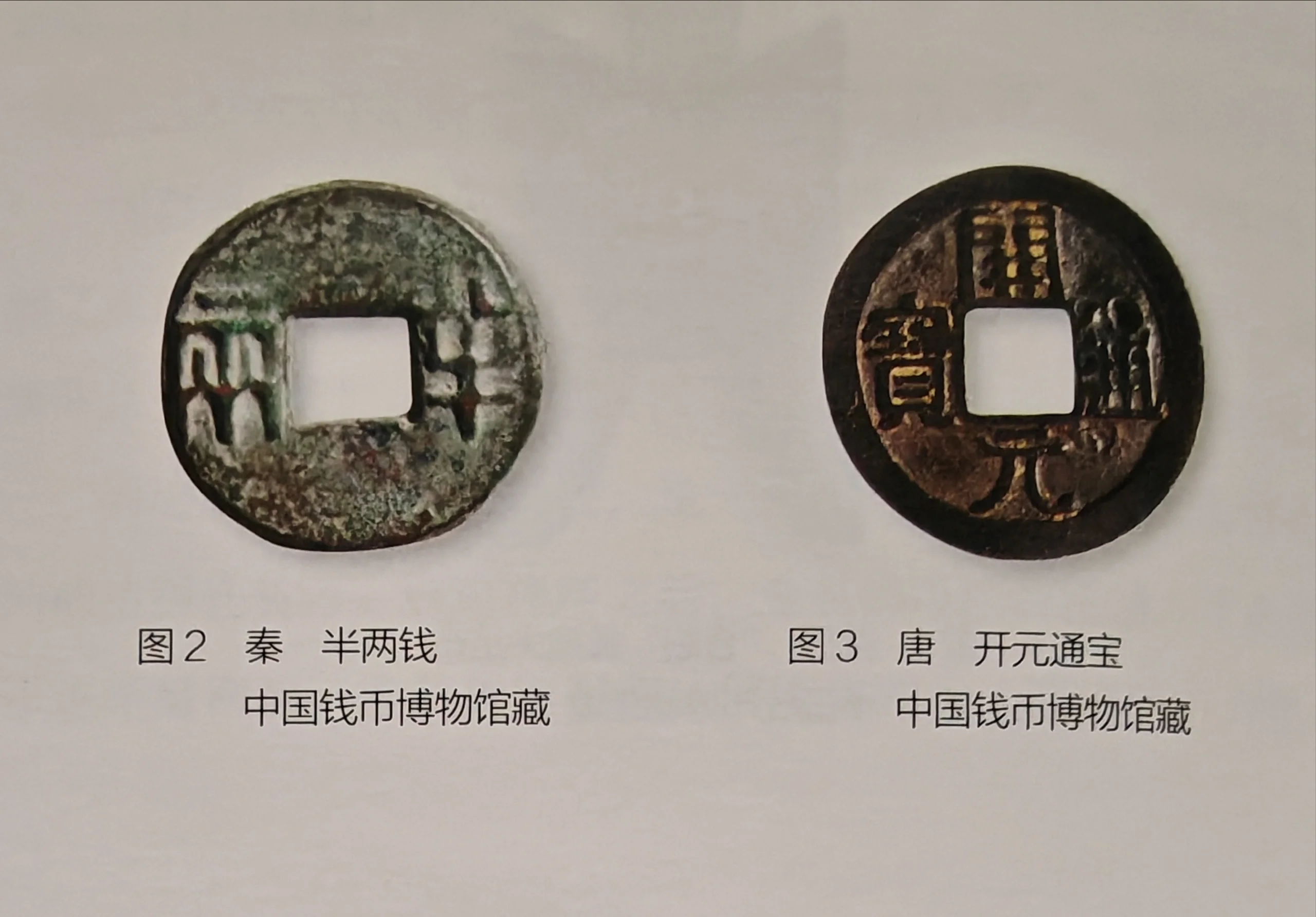 货币发展(货币发展史手抄报一年级)